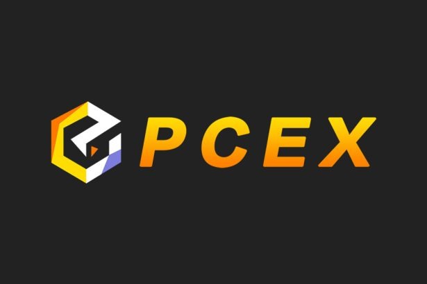 Pcex Exchange Review